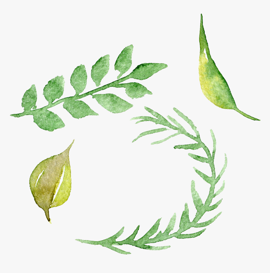 Watercolour Flowers Watercolor Painting - Watercolour Png Free Green, Transparent Png