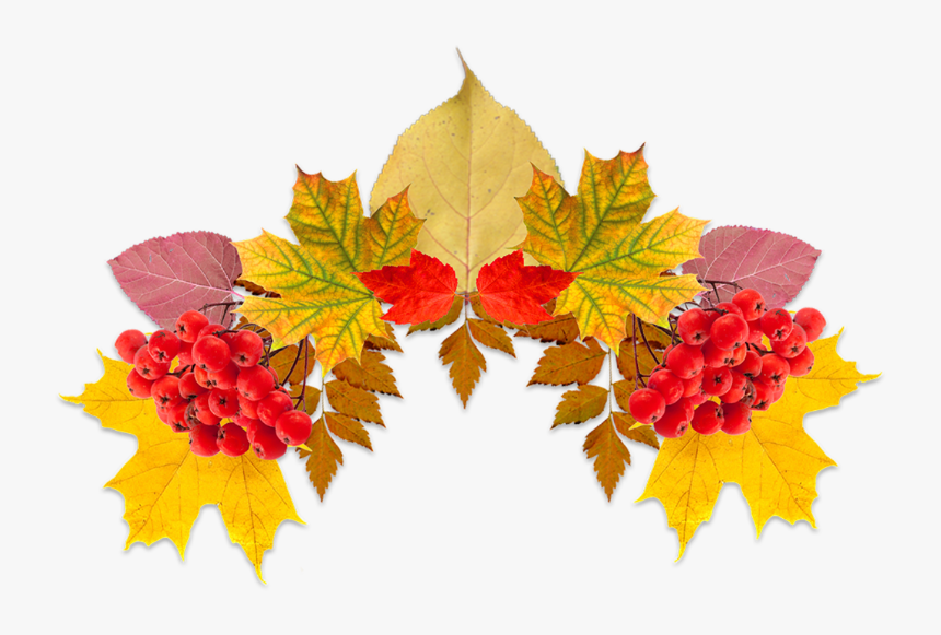 #fall #leaves #leavescrown #crown#freetoedit - Illustration, HD Png Download