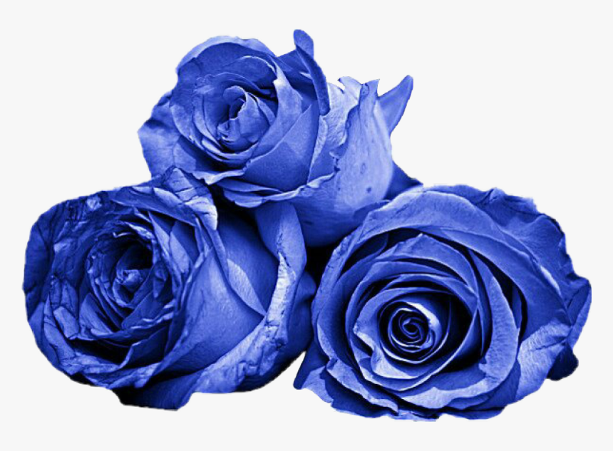 #roses #blue #aestheticblue, HD Png Download