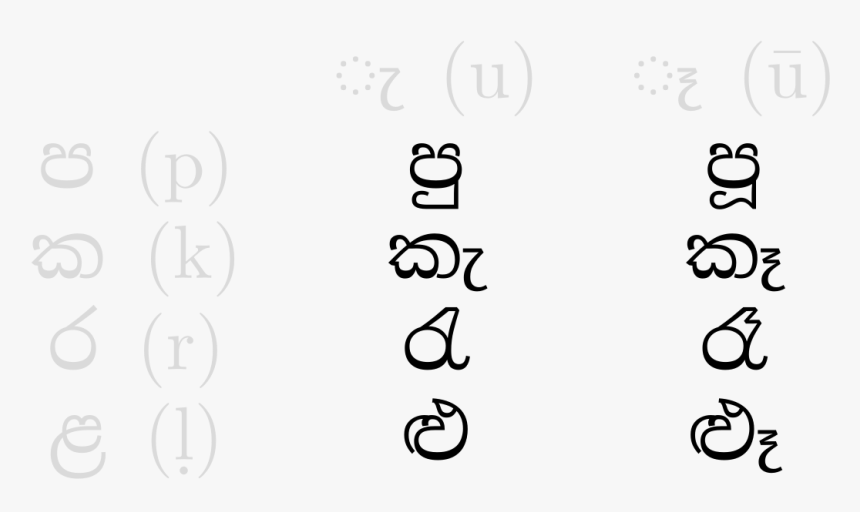 Circle, HD Png Download