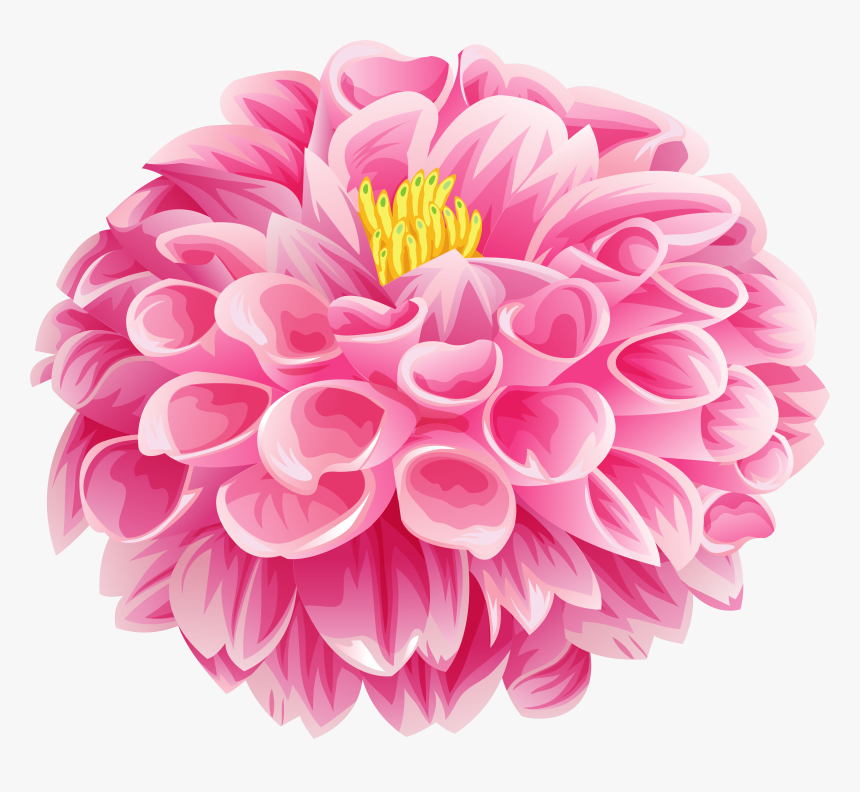 Pink Dahlia Flower Clip, HD Png Download