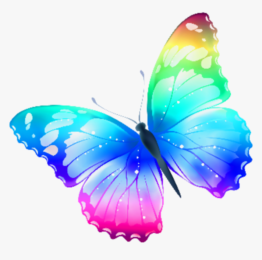 Clip Art Transparent Butterfly, HD Png Download