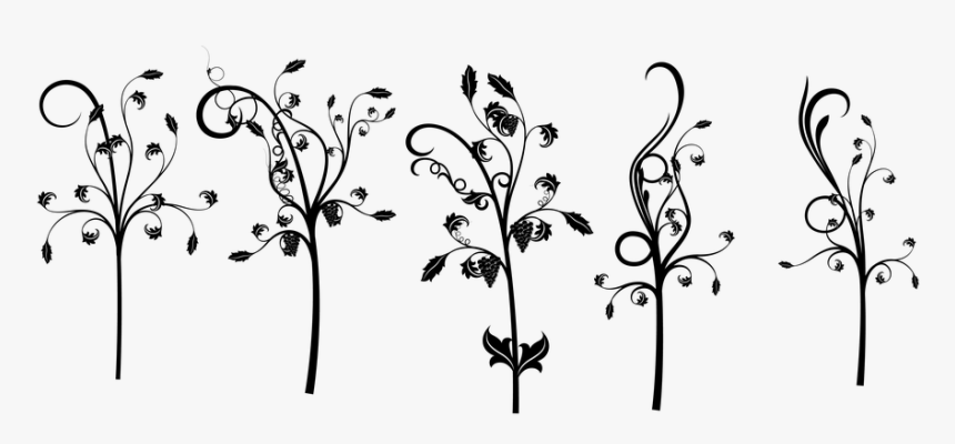 ดอกไม้ อาร์ต ๆ Png, Transparent Png