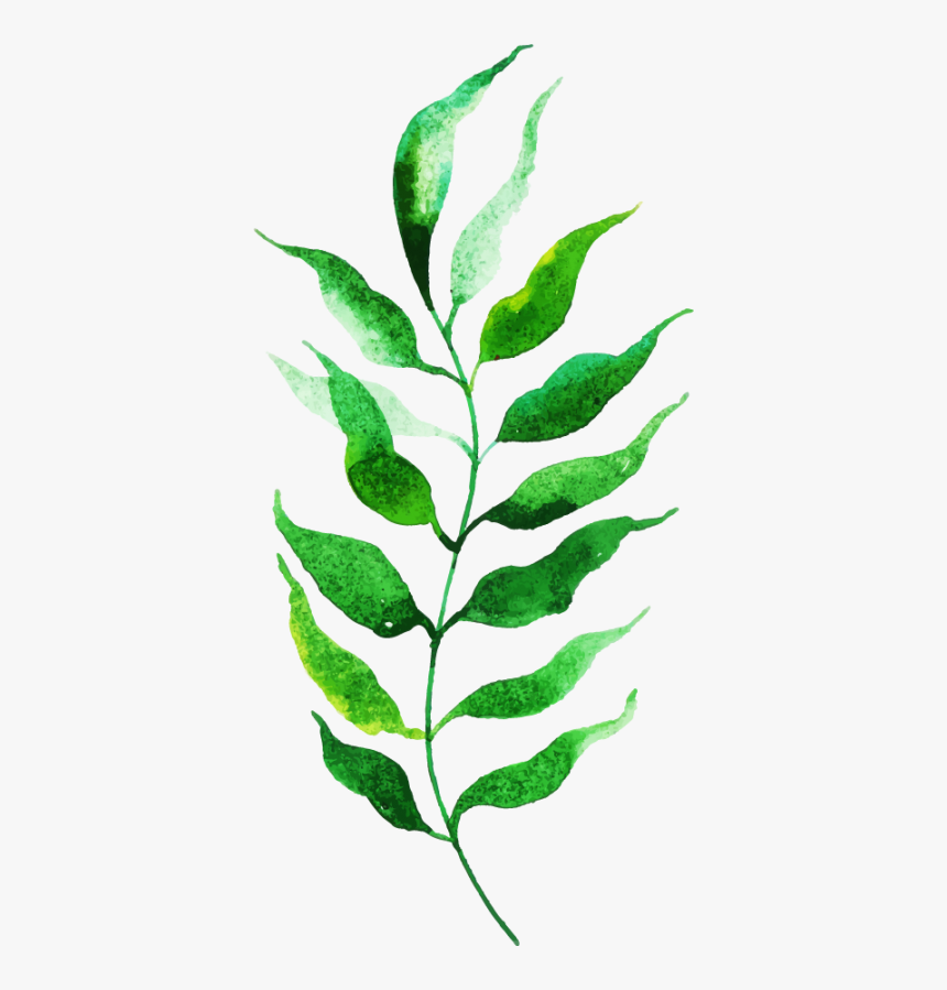 Twig, HD Png Download