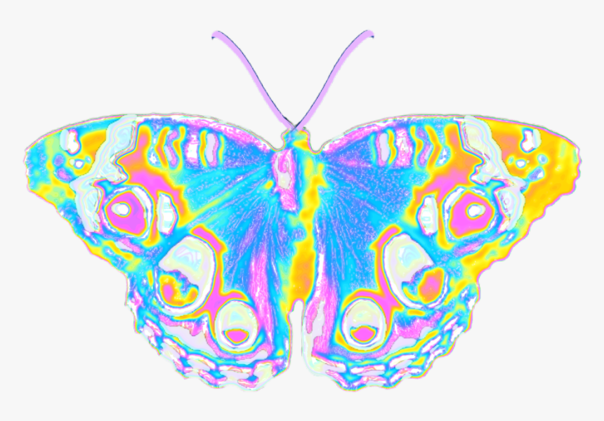 #butterfly #holographic #pastel #wings #spring #summer - Swallowtail Butterfly, HD Png Download