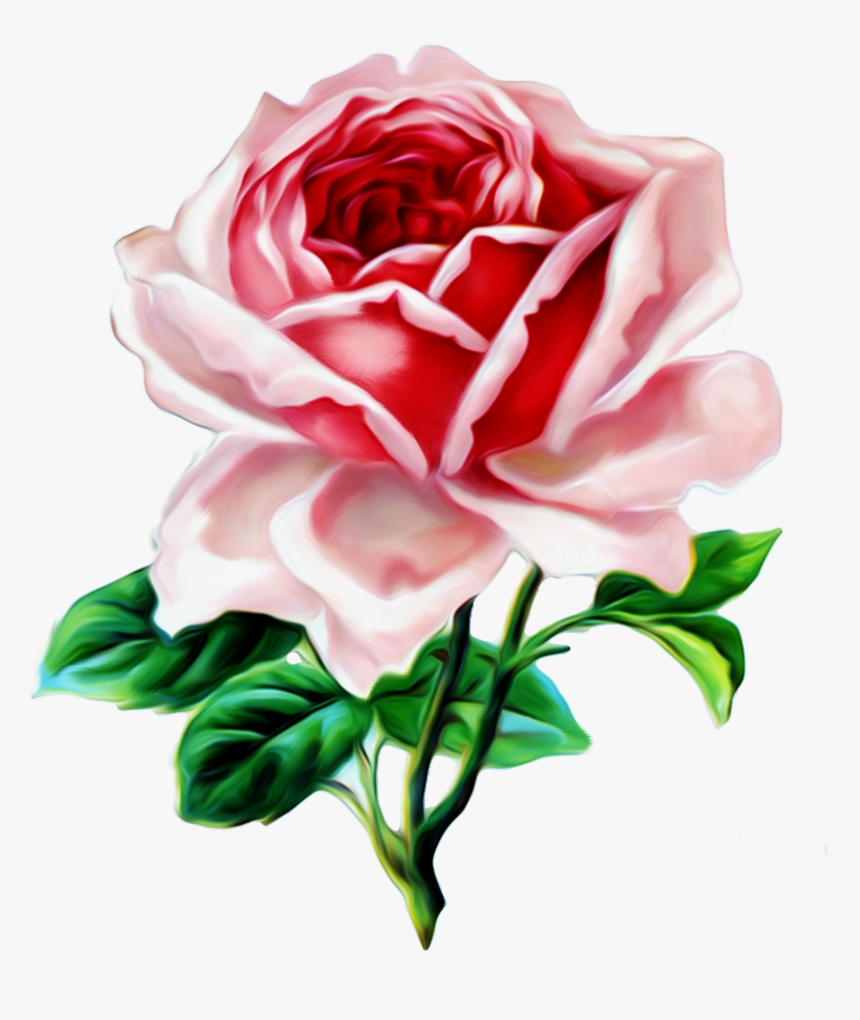 Roses Vintage Png, Transparent Png