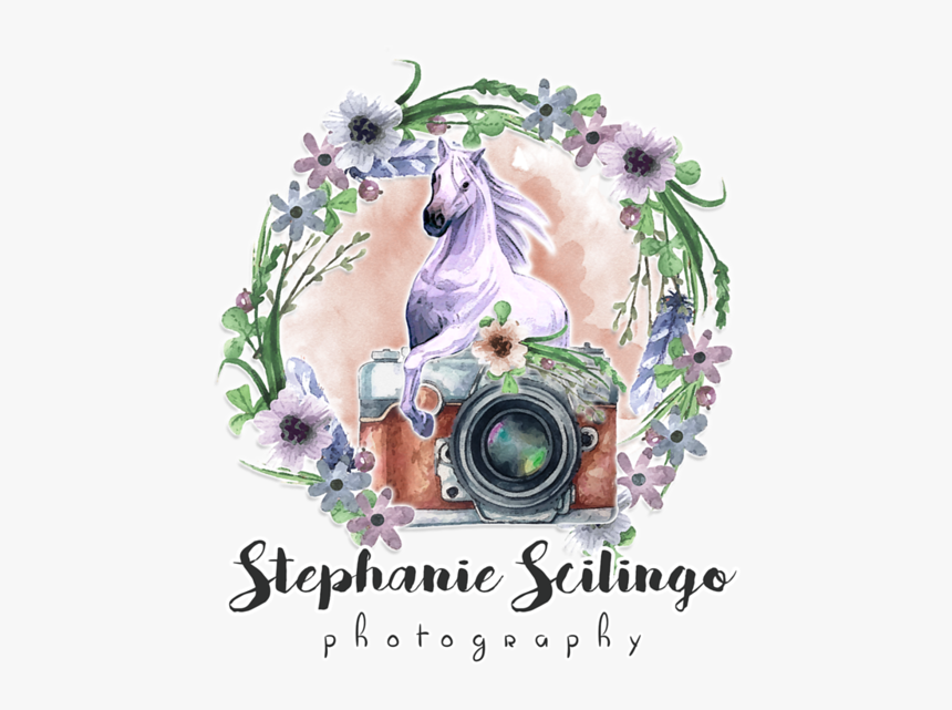 Photography Logo Design Png, Transparent Png