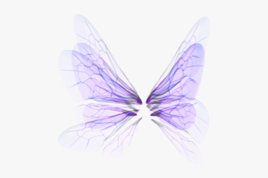 #wings - Butterfly, HD Png Download