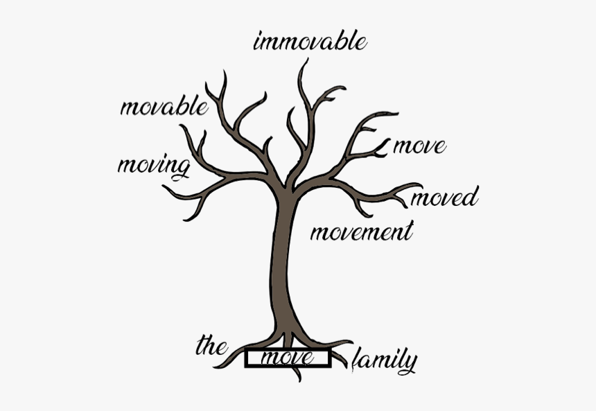 Branches On A Tree, HD Png Download