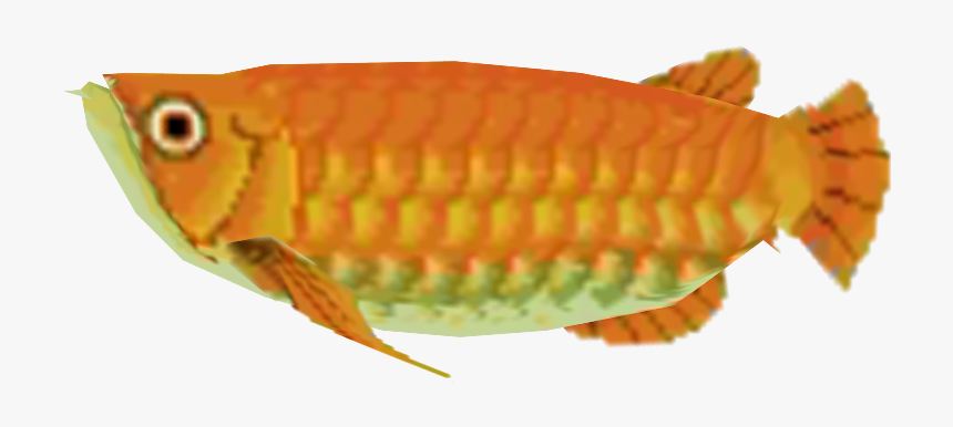 Download Zip Archive - Pomacentridae, HD Png Download