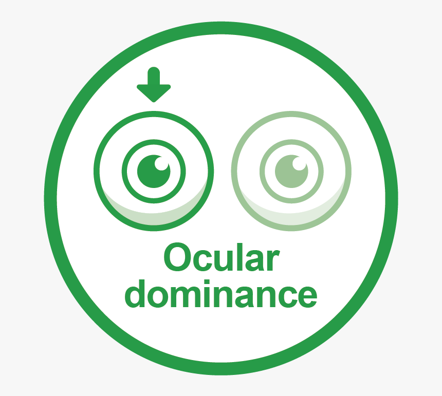 France 3, HD Png Download