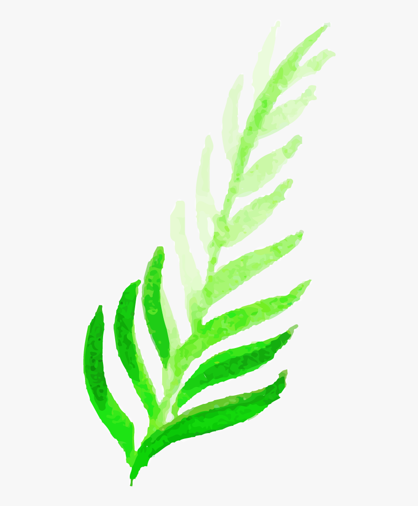 Illustration, HD Png Download