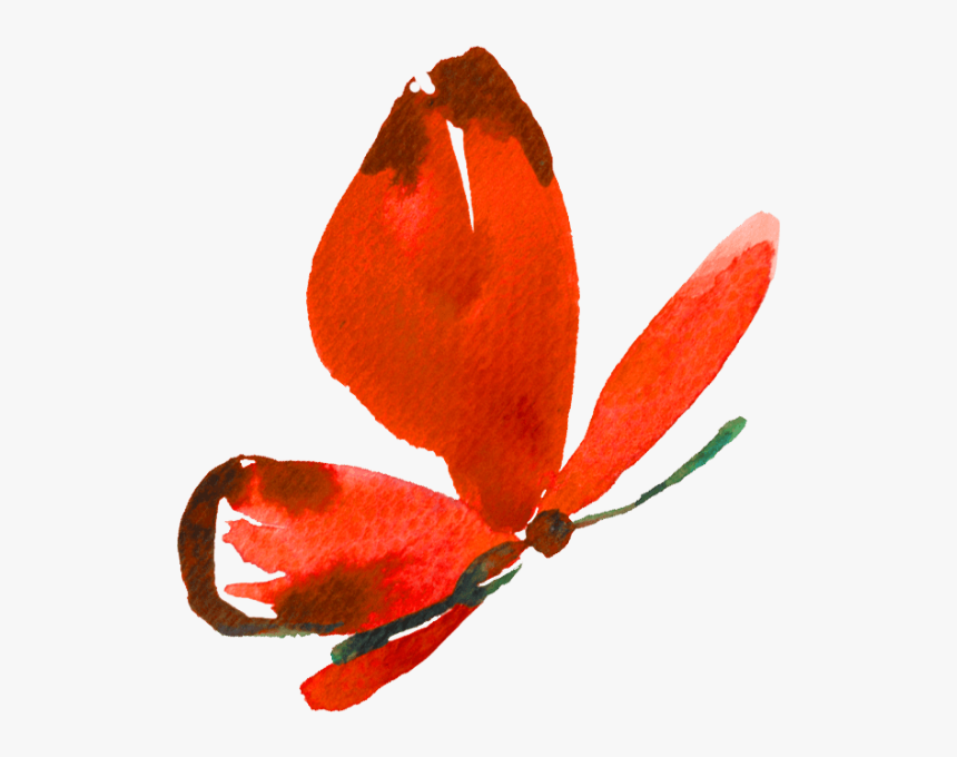 Insect, HD Png Download