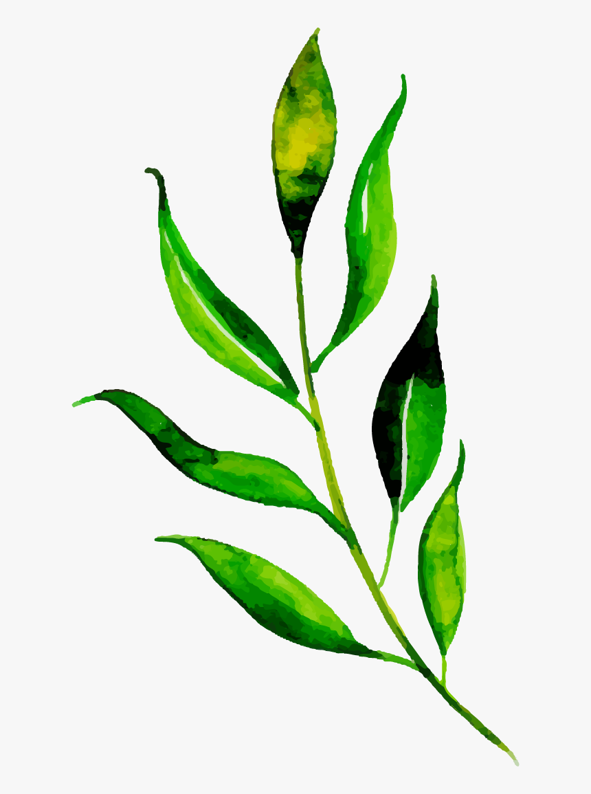 Clip Art, HD Png Download