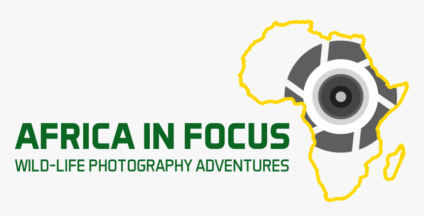 Africa In Focus - Graphic Design, HD Png Download