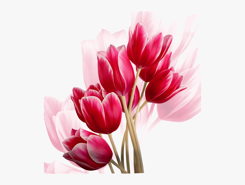 Carolina Herrera Perfume Collage, HD Png Download