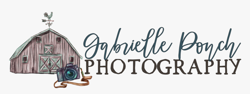 Photography Logo Design Png, Transparent Png