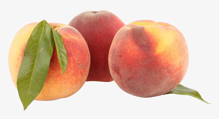 Peach - Portable Network Graphics, HD Png Download