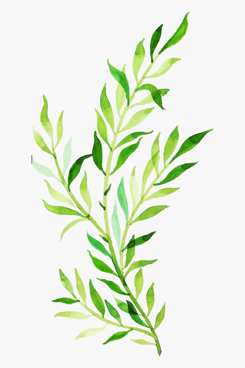 Clip Art, HD Png Download