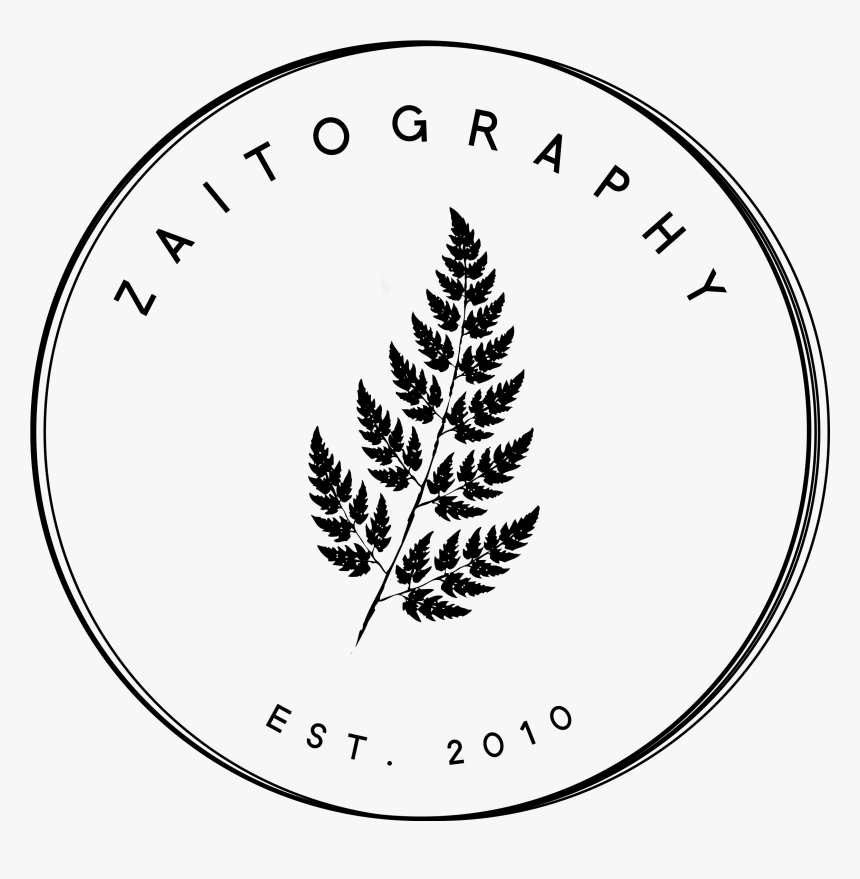 Fern, HD Png Download