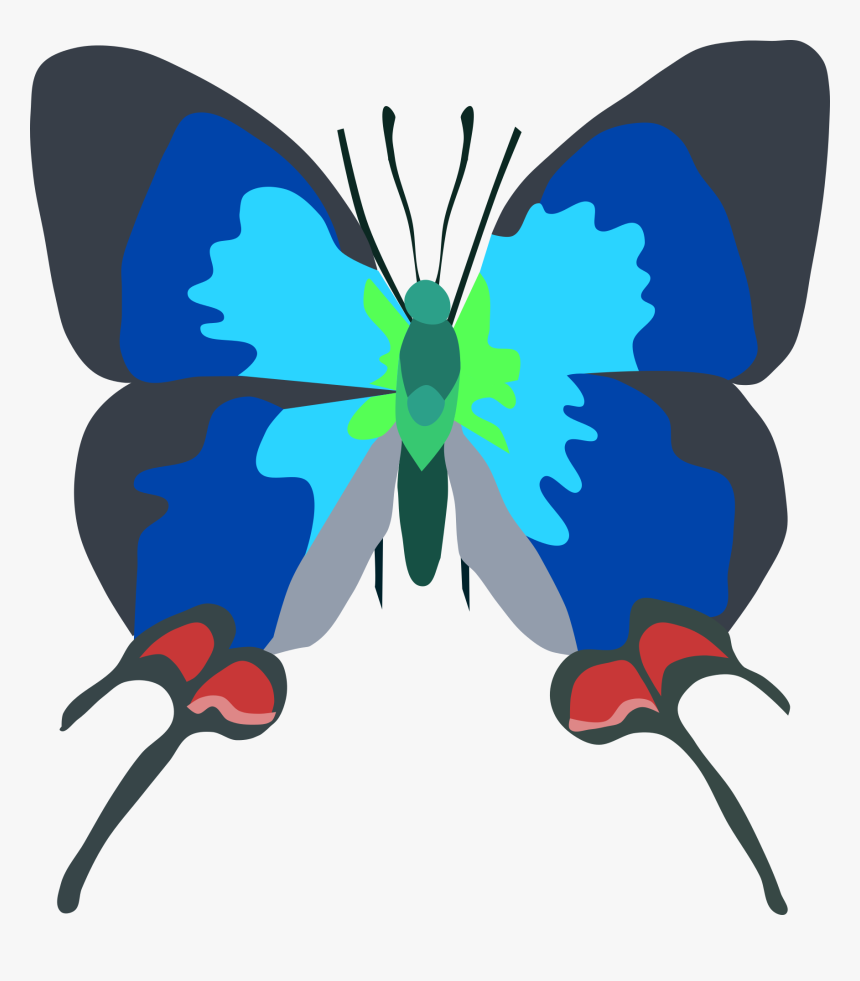 Butterfly Is Very Rare, HD Png Download