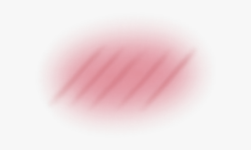 #腮红 - Macro Photography, HD Png Download