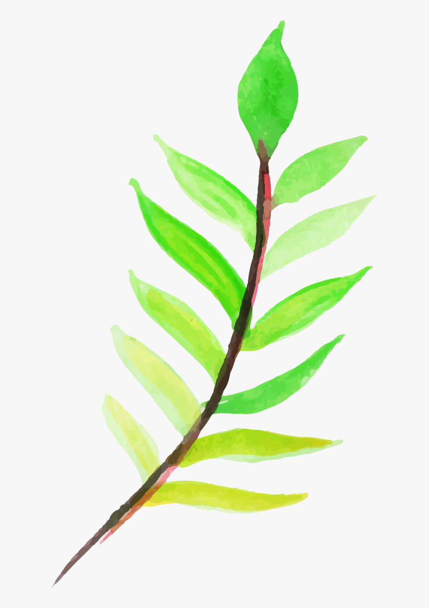 Bud, HD Png Download