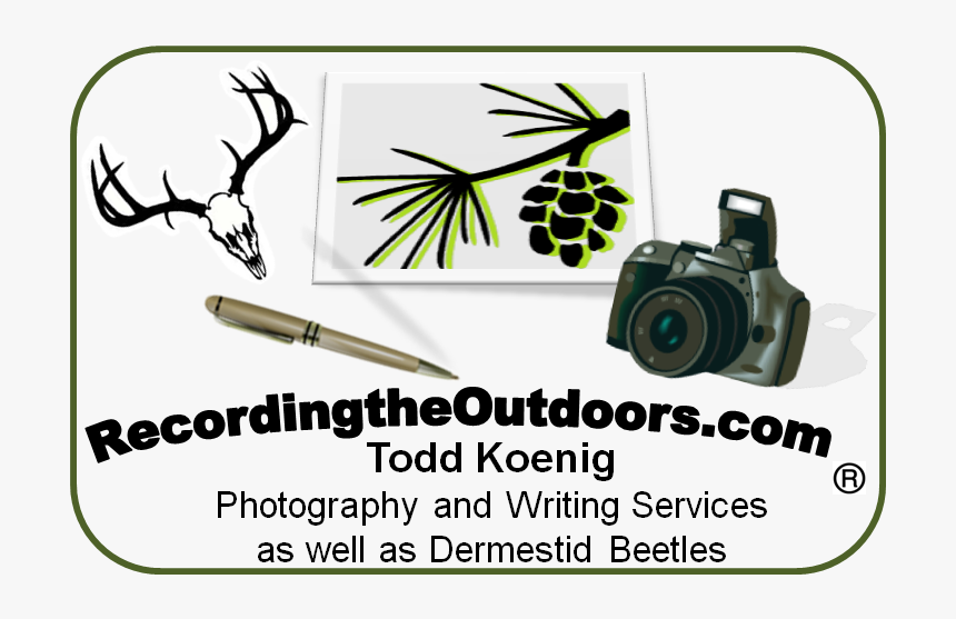 Recordingtheoutdoors - Com - Film Camera, HD Png Download