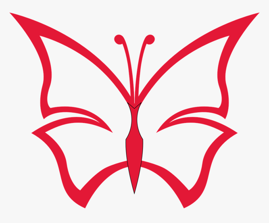 Drawing Of Butterfly With Colour, HD Png Download