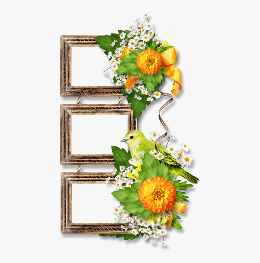 向日葵, HD Png Download