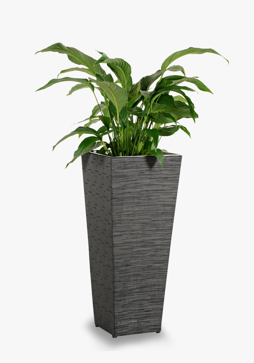 Flowerpot, HD Png Download