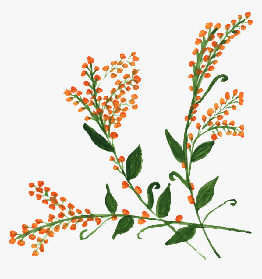 Clip Art, HD Png Download