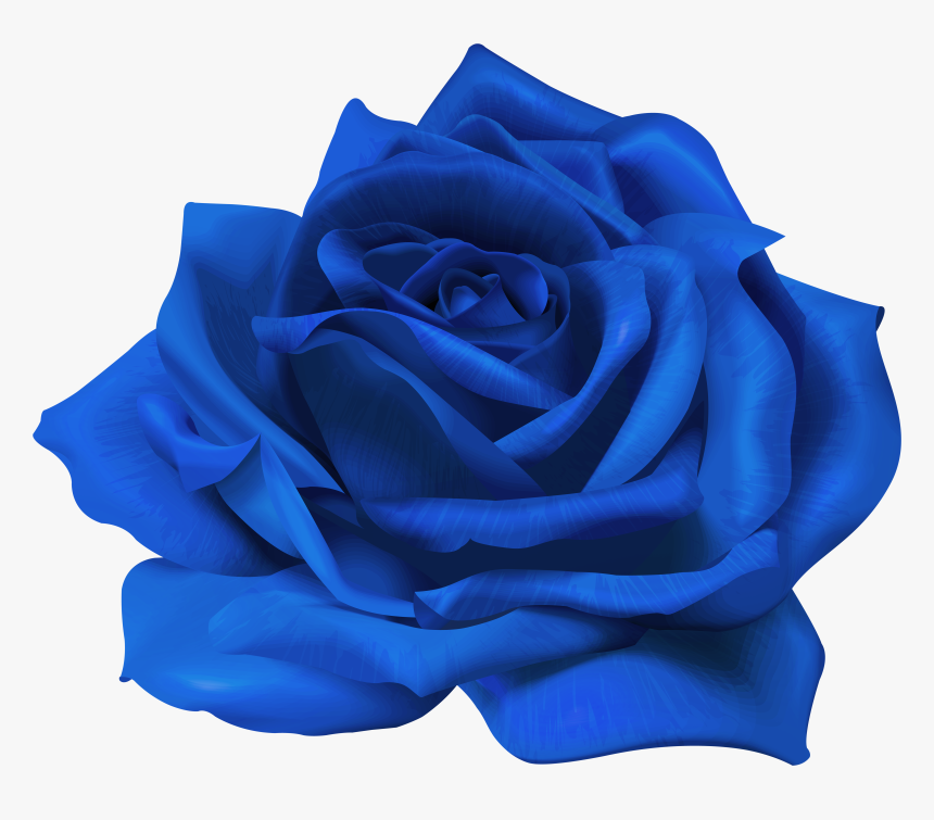 Transparent Flower Blue Rose, HD Png Download