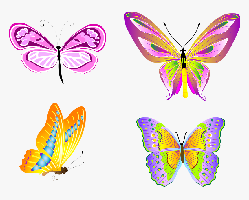 Butterfly, HD Png Download