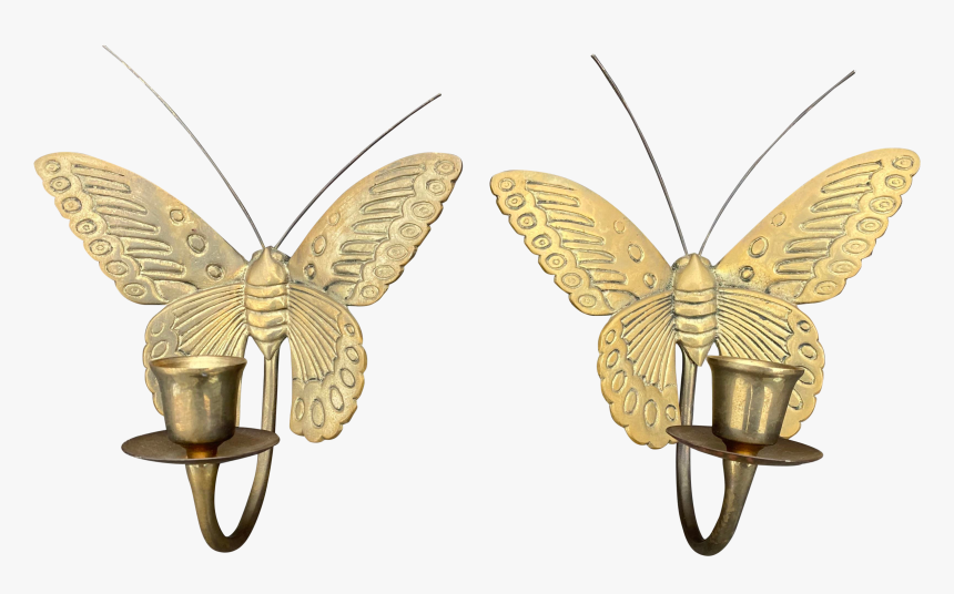 Swallowtail Butterfly, HD Png Download