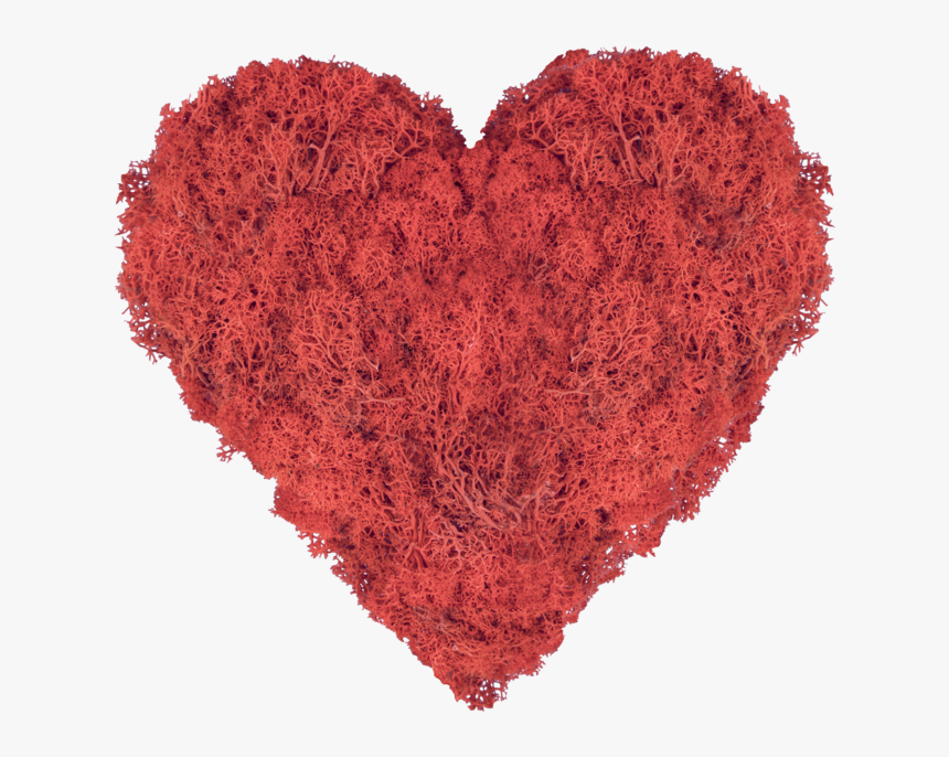 Moss Art Heart Red, HD Png Download