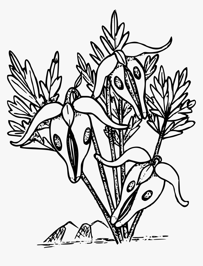 Bleeding Heart Flower Coloring Clipart , Png Download - Line Art, Transparent Png