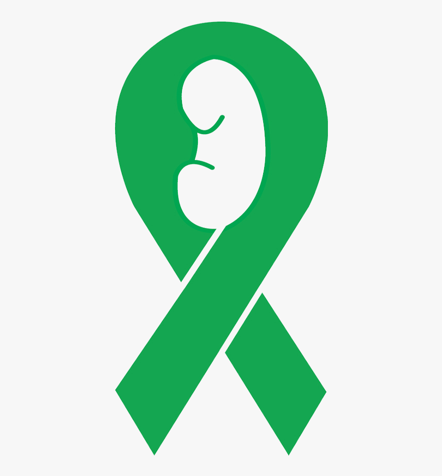 Green Ribbon Kidney Disease, HD Png Download , Transparent Png Image PNGitem