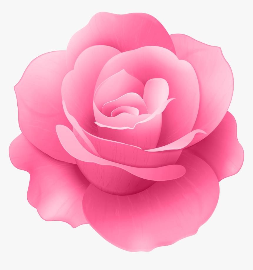 Pink Rose Flower Clip Art Image, HD Png Download