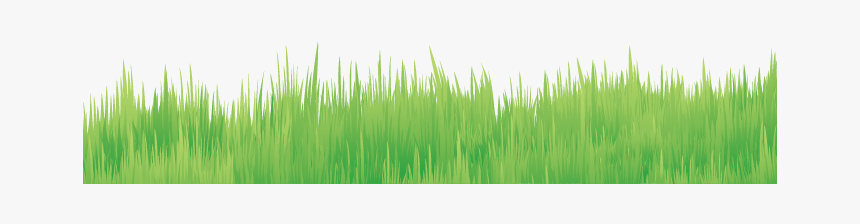 Lawn, HD Png Download