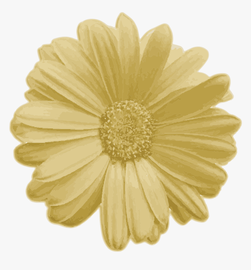 Goldflower - Png Real Flower, Transparent Png