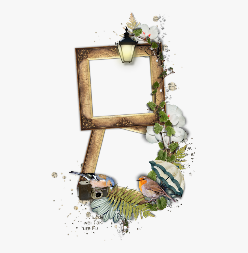 Picture Frame, HD Png Download