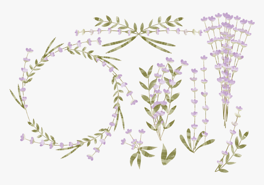 Flower Euclidean Watercolor Painting - Watercolor Lavender Transparent Background Png, Png Download