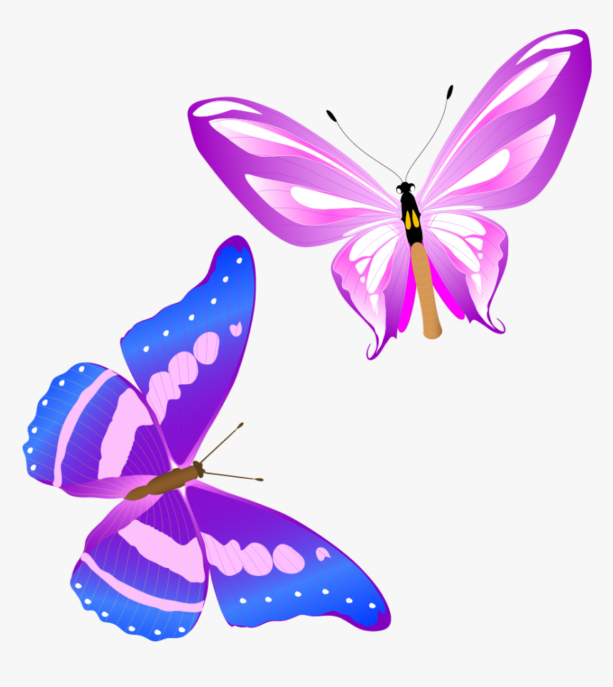 Colorful Butterfly Vector Png, Transparent Png