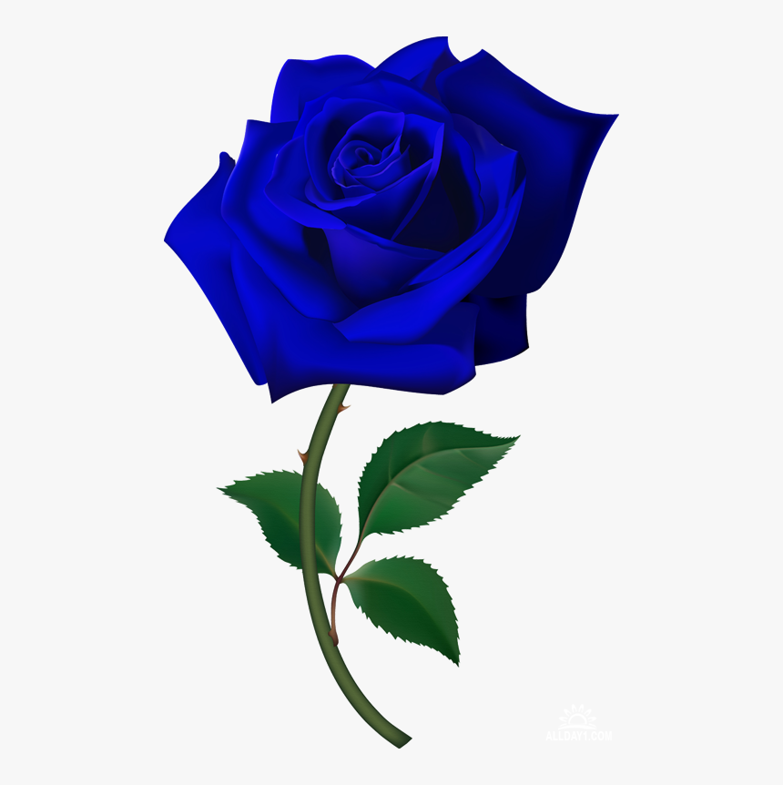 Free Rose Clip Art, HD Png Download
