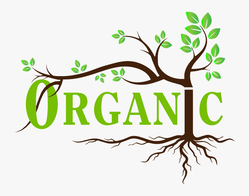 0rganic - Illustration, HD Png Download