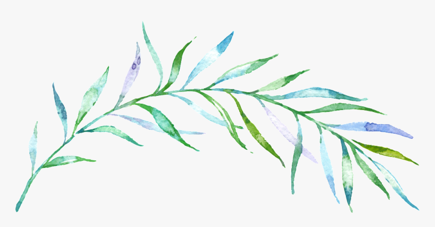 Clipart Download Thin Green Free Download Png Files - Watercolor Transparent Background Branch Png, Png Download