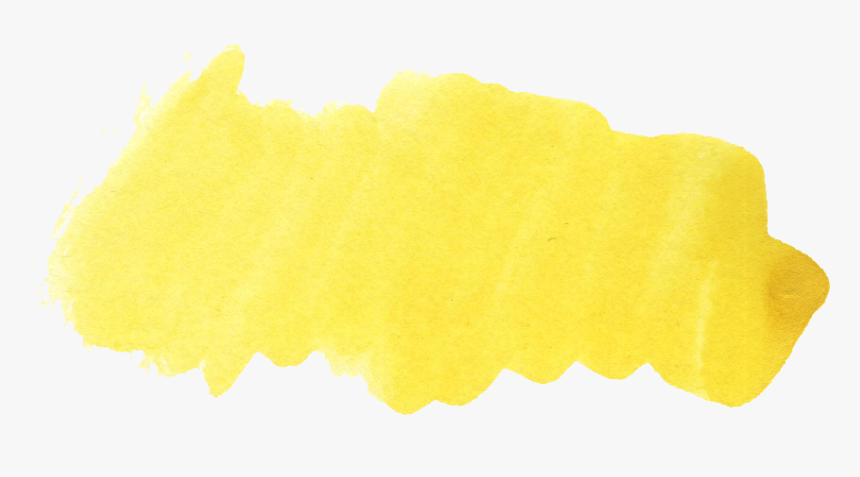 Maidenhair Tree, HD Png Download