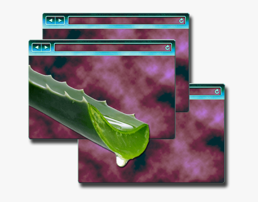 Lilac, HD Png Download