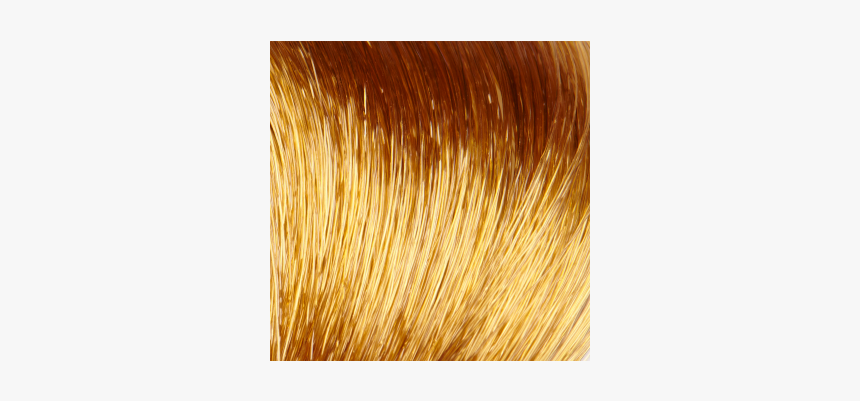 Blond, HD Png Download